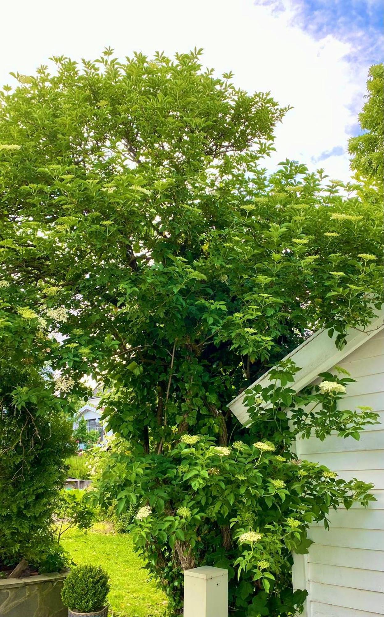 Down Town Apartment With Outside Area In Villa คริสเตียนซานด์ ภายนอก รูปภาพ